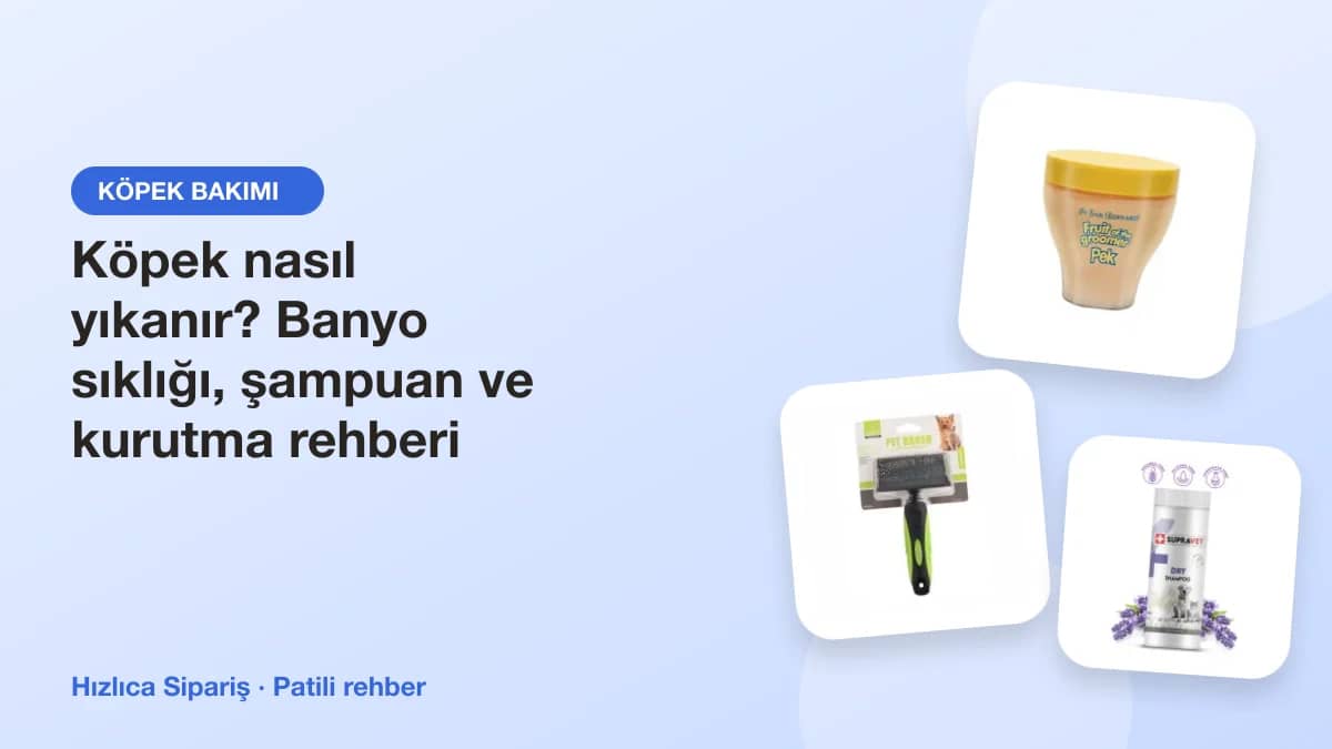 Köpek şampuanları, bakım kremleri, tarak ve kuru şampuandan oluşan köpek banyo ürünleri kolajı